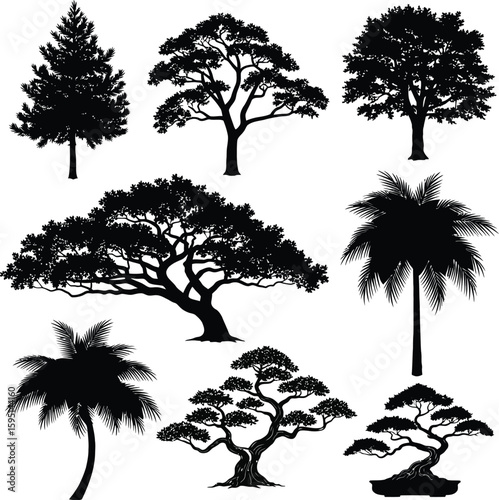 Vector art of silhouettes of various trees are isolated on white background