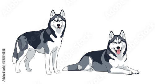Two adorable siberian huskies stand and lie down in artistic pixel art style