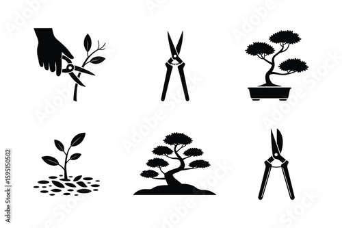 Hand pruning a sapling bonsai tree with shears and potted bonsai potted plant