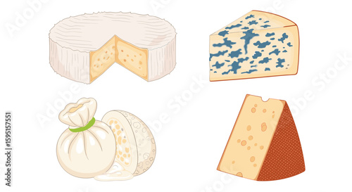 Illustration of four different types of cheese including brie blue and burrata