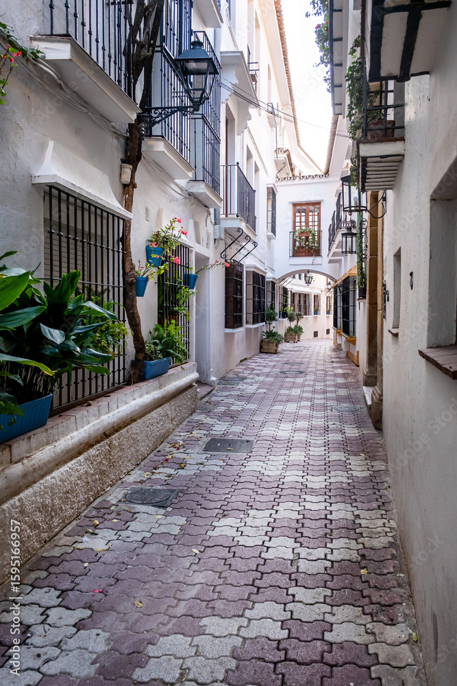 Obraz premium Marbella old town in Andalucia Spain. Streets of Marbella, Spanish typical houses, in the region of Andalucia