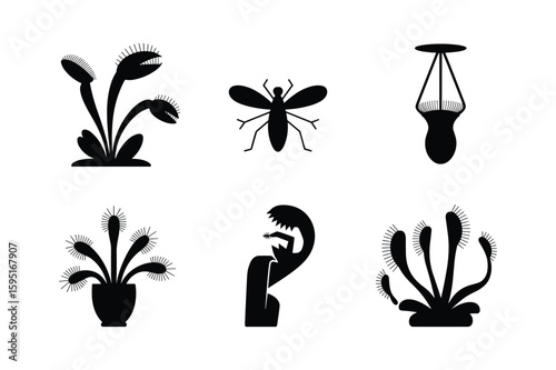 Venus flytrap plant with insect and pitcher plant silhouettes carnivorous plant