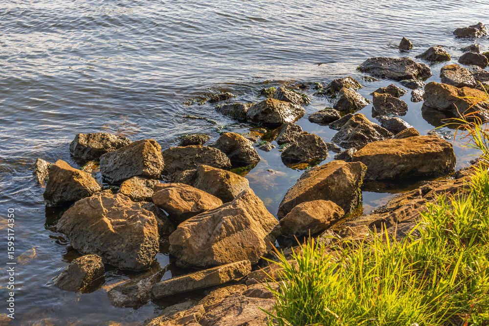Obraz premium On the banks of a Dutch river on a sunny evening in the summer season.