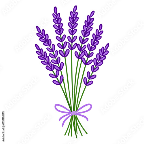 Vector lavender bouquet.