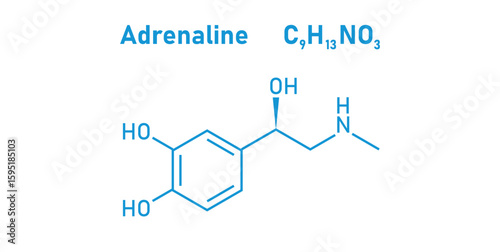 chemical structure of adrenaline or epinephrine.