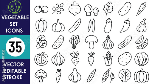 35 editable stroke vegetable icons including tomato, carrot, chili, onion, broccoli, corn, garlic, eggplant, radish, pea pod, cucumber, pumpkin, beet, and mushroom