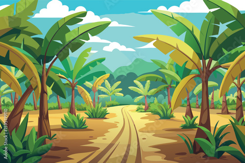 Tropical banana plantation pathway under sunny sky