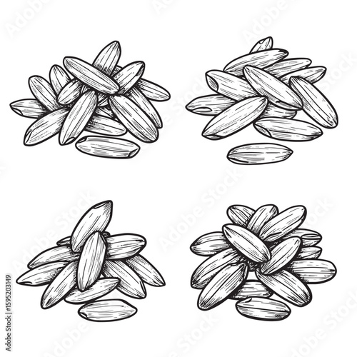 Detailed hand drawn black and white artistic illustration of various piles of sunflower seeds