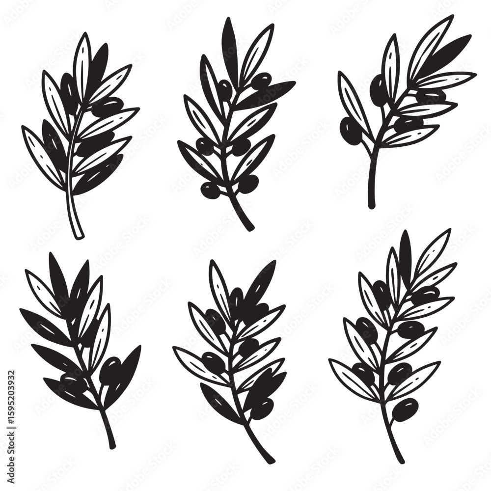Fototapeta premium Elegant black and white hand drawn olive branch set isolated on white background
