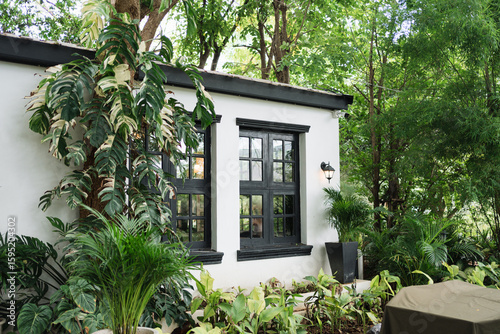 Black frame window on white wall of house surrounded by lush tropical garden