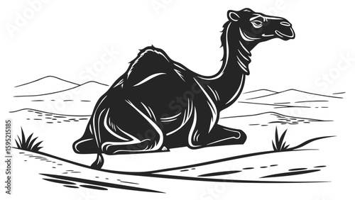 Resting camel in a desert landscape with dunes and sparse vegetation in monochrome illustration
