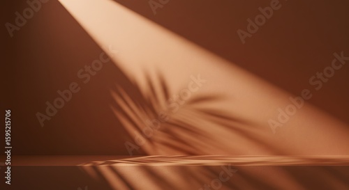 A spotlight illuminates a wall, casting shadows of palm leaves.