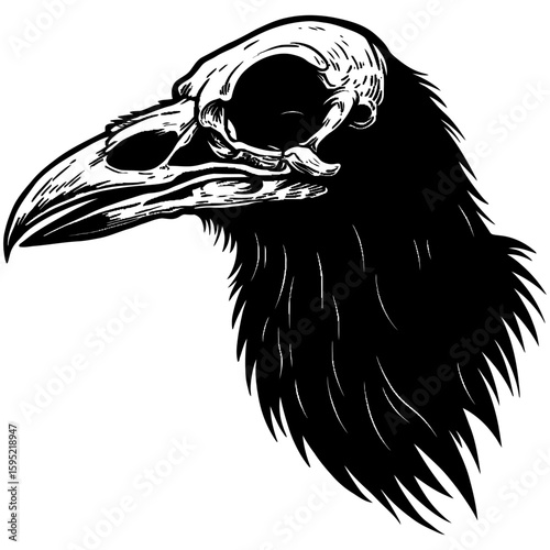 Vintage Vector Illustration of Raven with Exposed Skull – Gothic Bird Art"