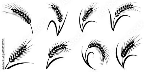 set of wheat ears, Wheat Ears Silhouette Set, A collection of eight black vector icons depicting various styles of wheat and rye ears with stalks, wheat icon, Grey Cereals icon set with rice, wheat.