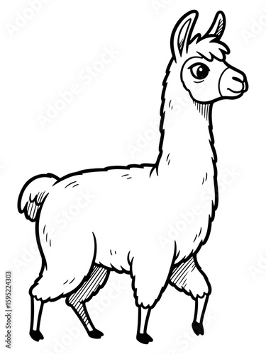 Black and White Line Art Illustration of a Walking Llama