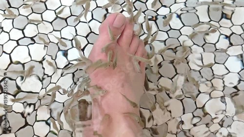 A foot immersed in a fish spa. Numerous small fish are actively nibbling at the skin of the foot, set against a backdrop of clear water and a mosaic-tiled basin.
