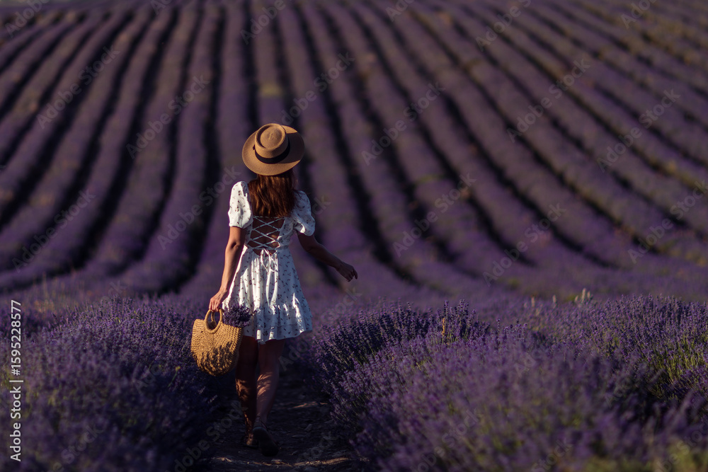 Fototapeta premium Lavender field woman Provence day, girl walks rows, holding flowers in tote bag, sunny.