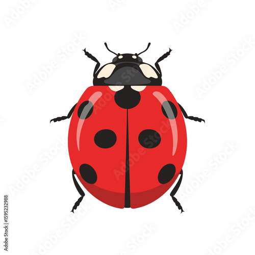 A vibrant, top-down illustration of a ladybug with detailed markings.