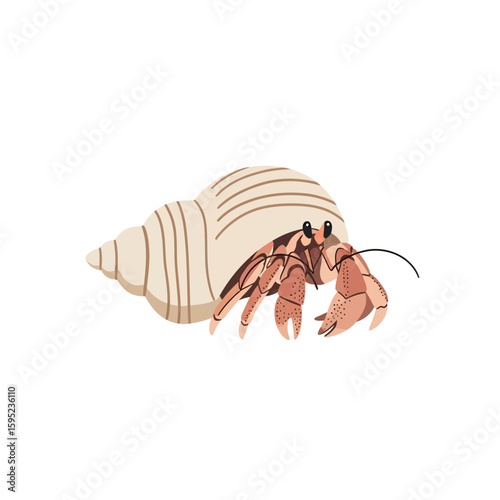 A charming illustration of a hermit crab nestled securely within its spiral seashell home.