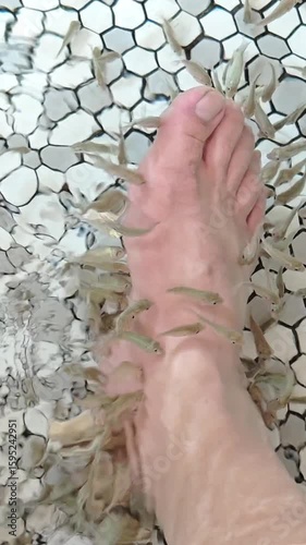 A foot immersed in a fish spa. Numerous small fish are actively nibbling at the skin of the foot, set against a backdrop of clear water and a mosaic-tiled basin.