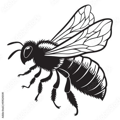 Bee Silhouette: Detailed Black Honey Bee Vector Art