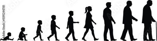Silhouette illustration of human life stages, aging from infancy to elderly, life journey concept, educational timeline, vector development progression