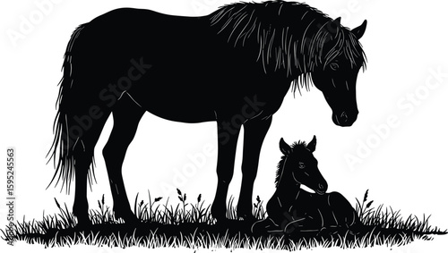 Silhouette of horse and foal in grassy field, animal bond, peaceful nature scene, wildlife illustration, black vector farm design