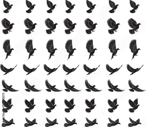 pigeons on a white background