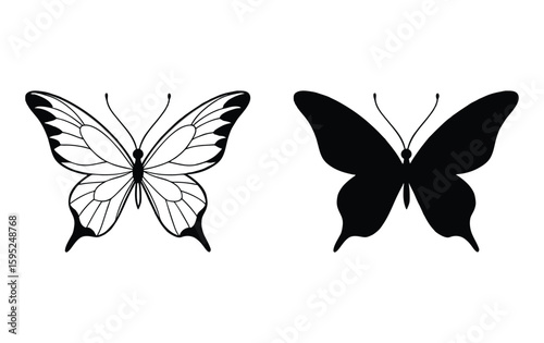 Two butterflies one detailed outline one solid silhouette