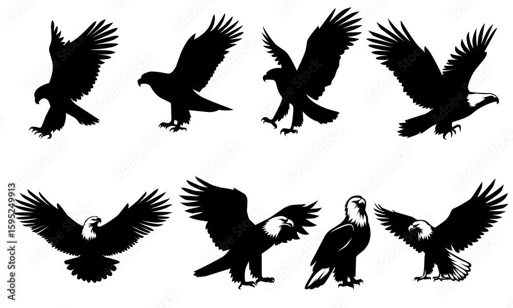 Fototapeta premium Set of black eagle silhouettes in various flying and landing poses
