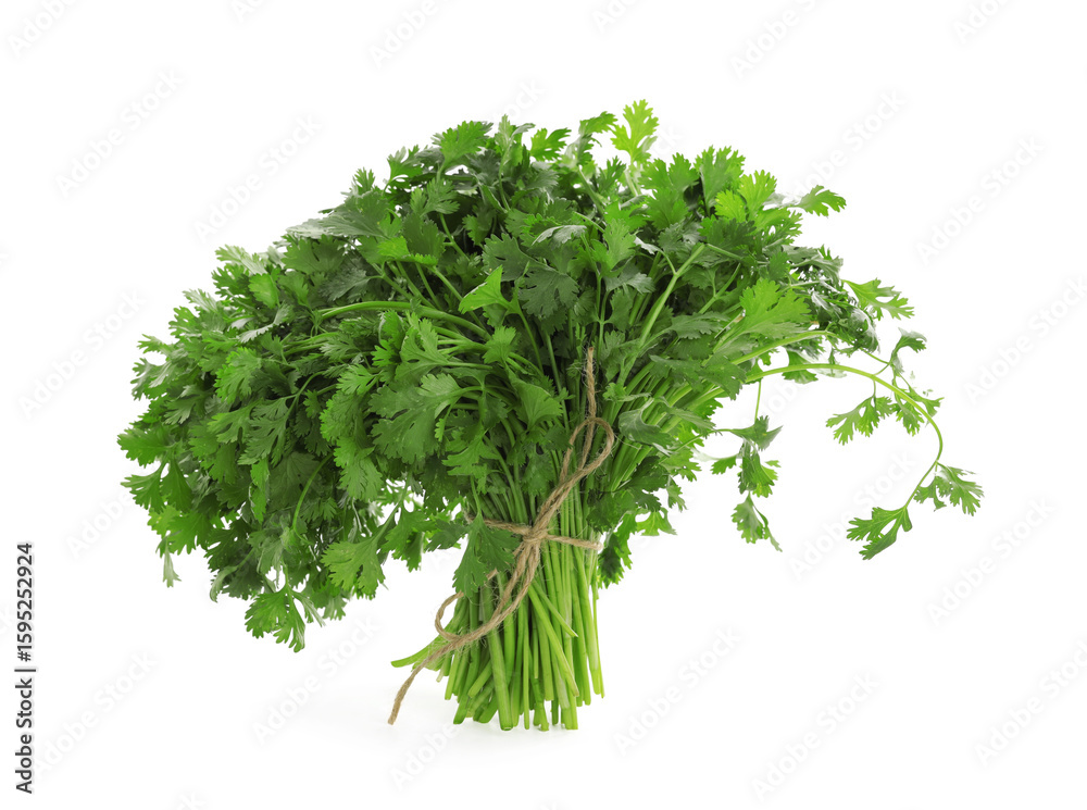 Fototapeta premium Bunch of fresh cilantro isolated on white