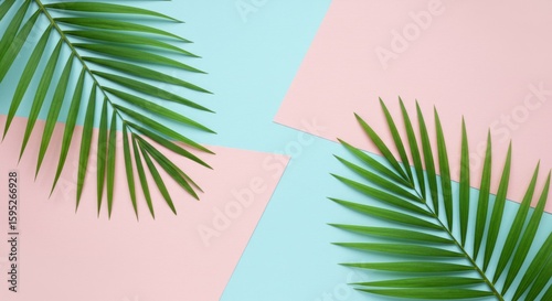 Palm Fronds on Pastel Background Tropical Leaf Layout