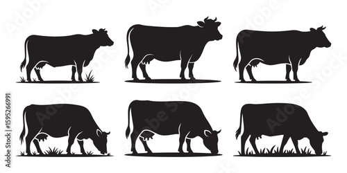 Cow vector silhouette collection, Set of cow vector, Black cow silhouette, Cattle silhouettes illustration, Cow farm