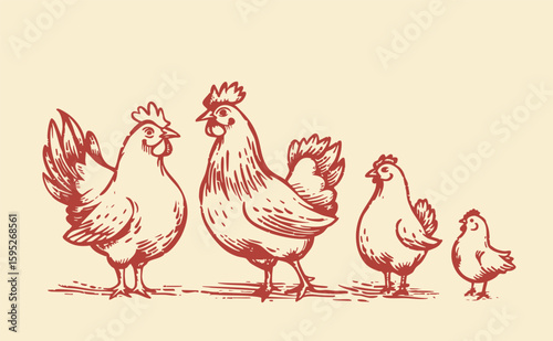 set of poultry domestic animals