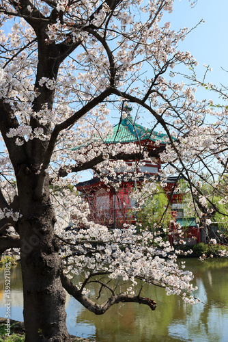 Shinobazu Pond Benten - Tokyo, Japan