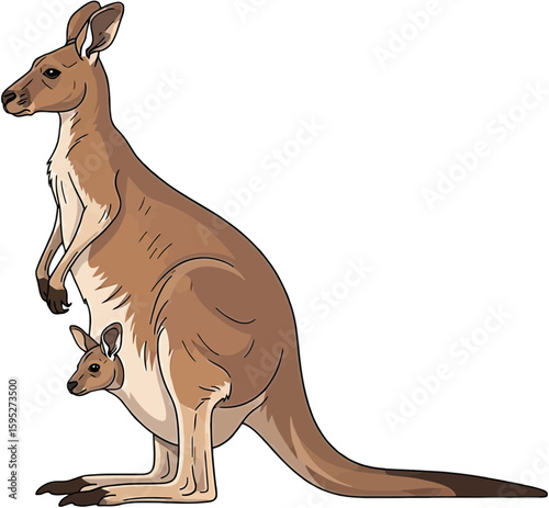 Illustration of Kangaroo with Joey in Pouch Showcasing Australian Wildlife and Family Bond