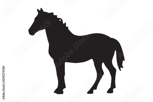 Horse Silhouette