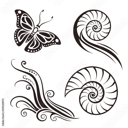 Black butterfly and nautilus shell swirls tribal