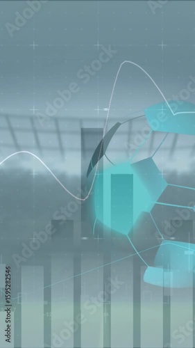 Animation of financial data processing football and sports stadium