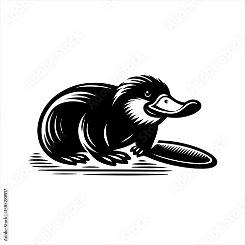 A platypus illustration