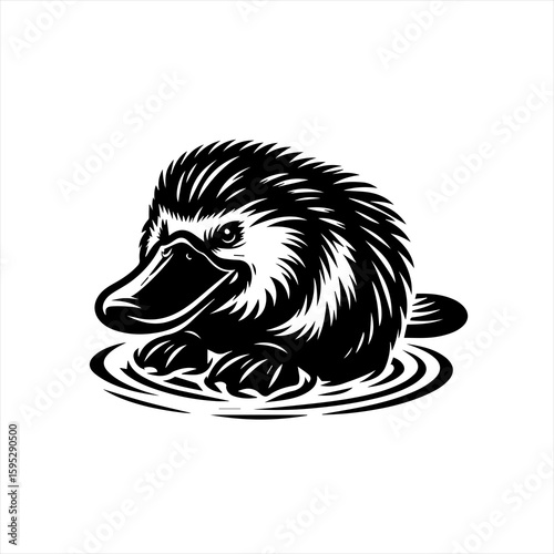 A platypus swims in the water