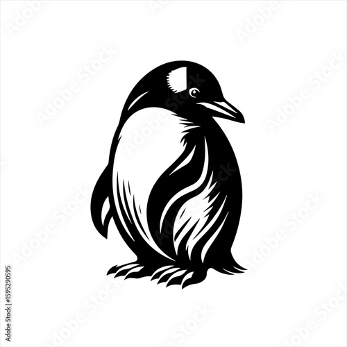 Penguin illustration
