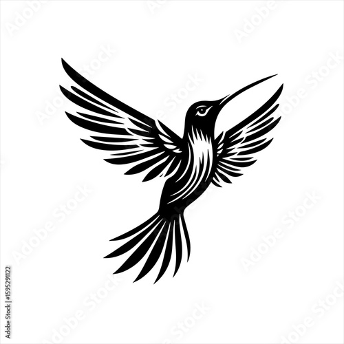 Hummingbird in flight with wings spread