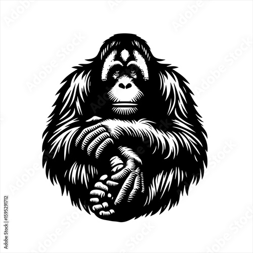 Orangutan illustration isolated on white background