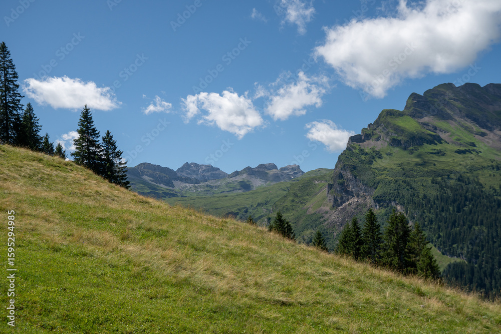 Fototapeta premium alpine Landschaft