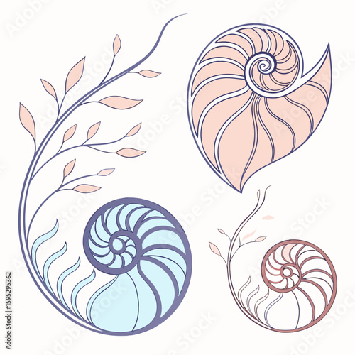 Pastel nautilus shells and floral branches leaf