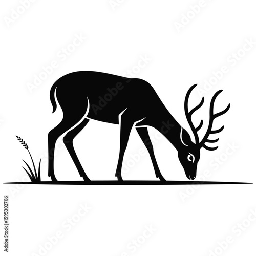 silhouette of deer