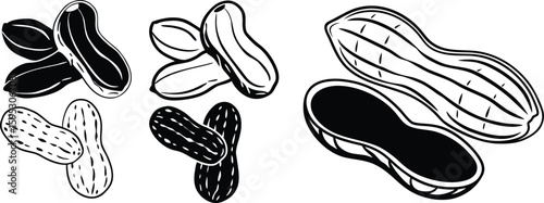 peanuts icon vector, peanuts set illustration.