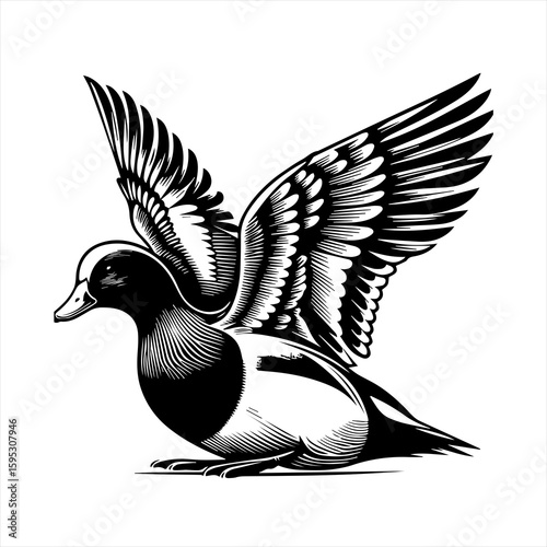 Duck with wings spread