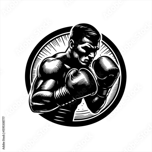 Boxer illustration